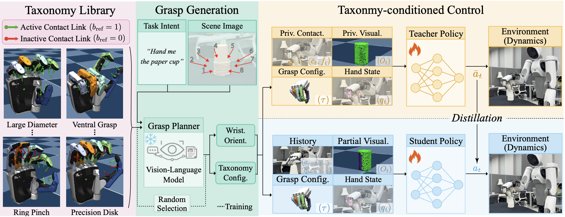Learning Dexterous Grasping from Sparse Taxonomy Guidance